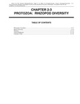 Volume 2, Chapter 2-3 Protozoa: Rhizopod Diversity