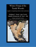 Winter Fungi of the North Woods by Abraham F. Stone