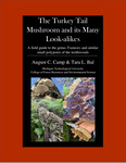 The Turkey Tail Mushroom and its Many Look-alikes