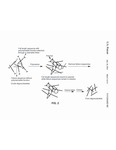 Purification of synthetic oligonucleotides by Shiyue Fang
