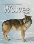 Ecological Studies of Wolves on Isle Royale, 2012-2013