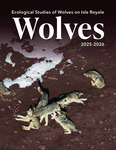 Ecological Studies of Wolves on Isle Royale